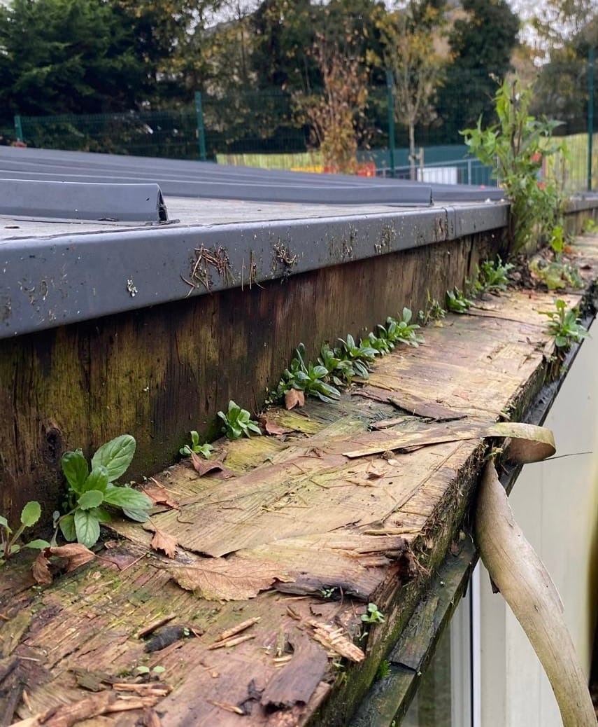 bf1a4213-521a-46a5-a1e4-8cf5b6e3e4ac